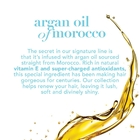 Cuidado profundo 70ml 150ml Marruecos Argan Oil Shampoo Conditioner